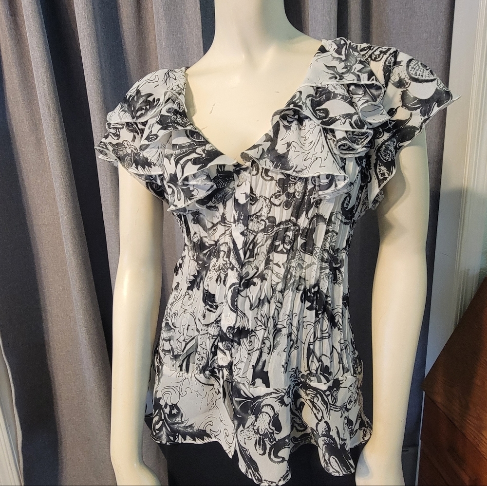 Fairycore Crushed Chiffon Ruffle Flutter Sleeve Scroll Allison‎ Taylor Blouse XL